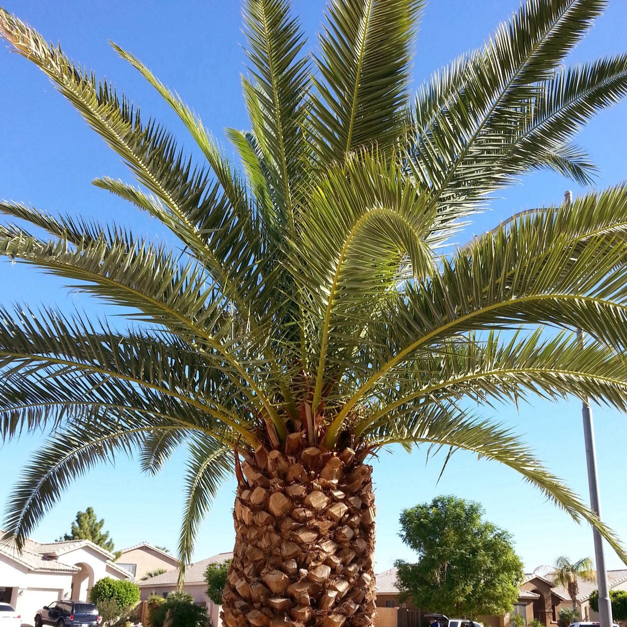 Cruiselady2014's profile picture. Life is to live, not to wish you had lived. Live now.