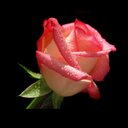 اهداب الحربي (@5c9b41a06c28492) Twitter