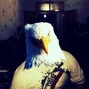 FeRiD yUsIbOv (@0555827207) Twitter