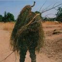 robert bloom - @robibloom - Twitter