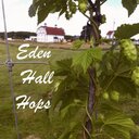 Eden Hall Hops - @EdenHops - Twitter