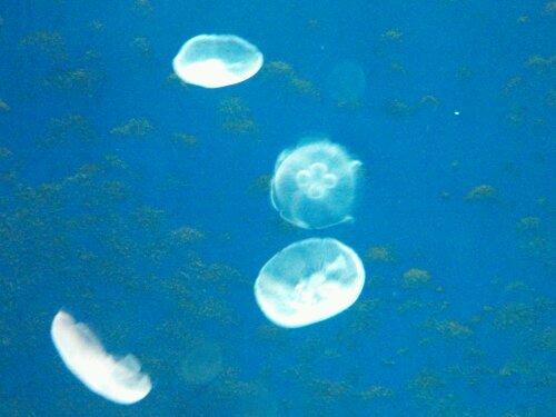 ifml109's profile picture. 