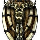 Bryan Reese - @BryanReese8 - Twitter