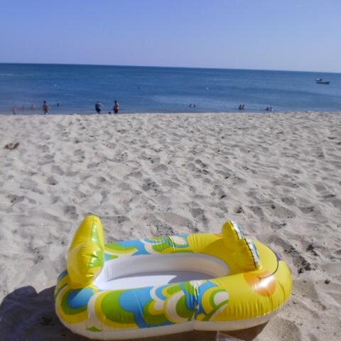 EvelinArauz507's profile picture. 