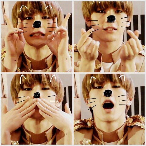 Topp Dogg HanSol FAKE S:0321
