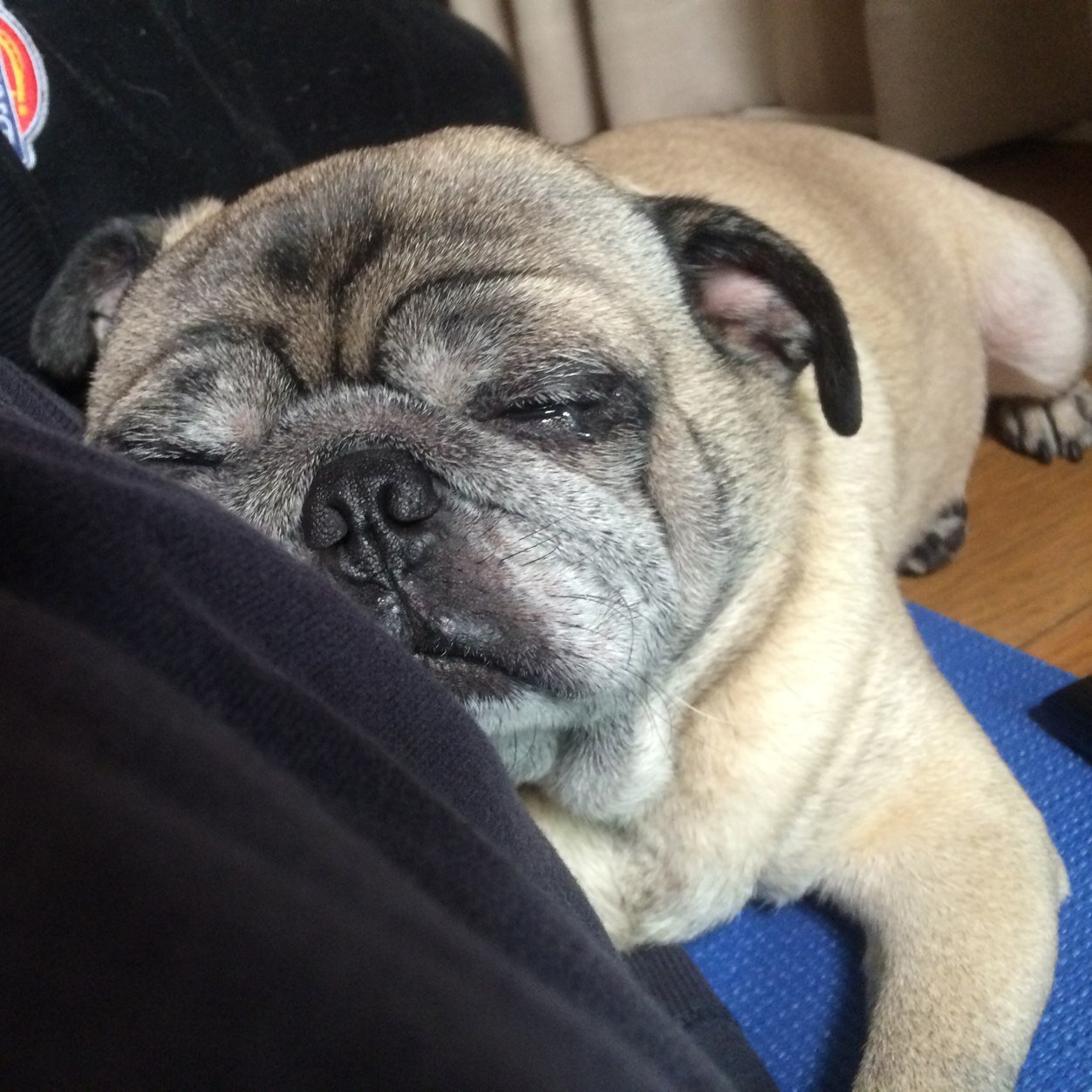 1998katoy's profile picture. 