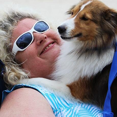 AgileShelties's profile picture. Nice dogs are born - Great dogs are made. Often out having fun with the dogs, or sewing, or swimming or rocking out to real music!
