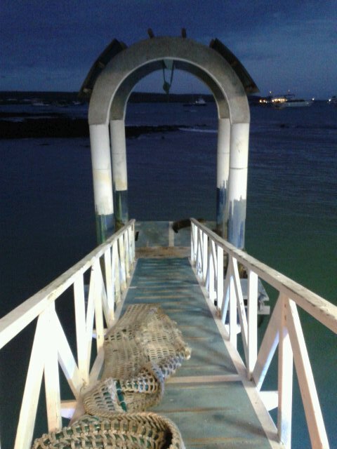 arnaboldigrazia's profile picture. Hacer es la mejor manera de decir