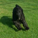 Abby Conley - @97f6e766be98458 - Twitter