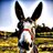 robertoboero1's profile image