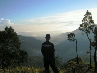 siap follback