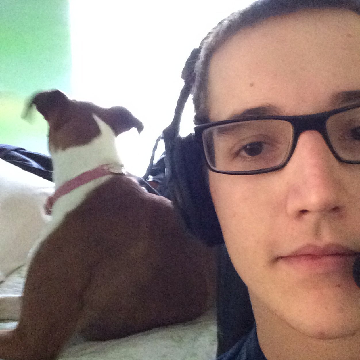 Twitter profile picture for @joesstory