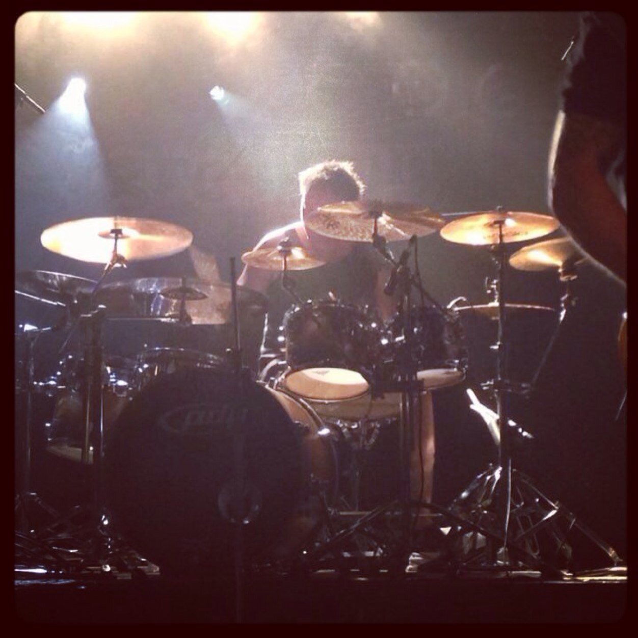 adz_segression's profile picture. Hi all, I'm a music lover and the Drummer for Australian Heavy Metal band SEGRESSION!!!