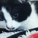 Ella Tucker - @smilylucie - Twitter