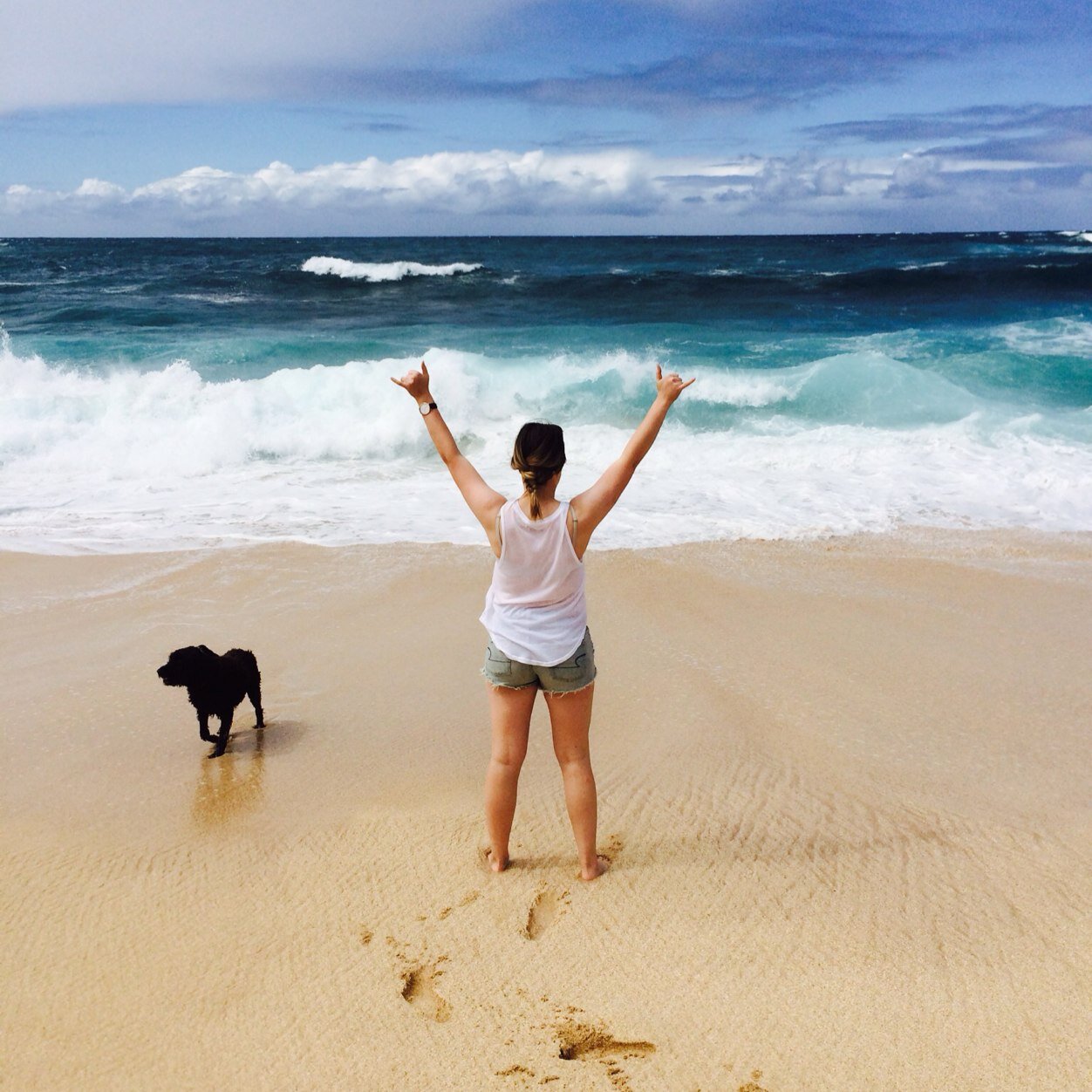 emilieebs's profile picture. Oh, hello you!!