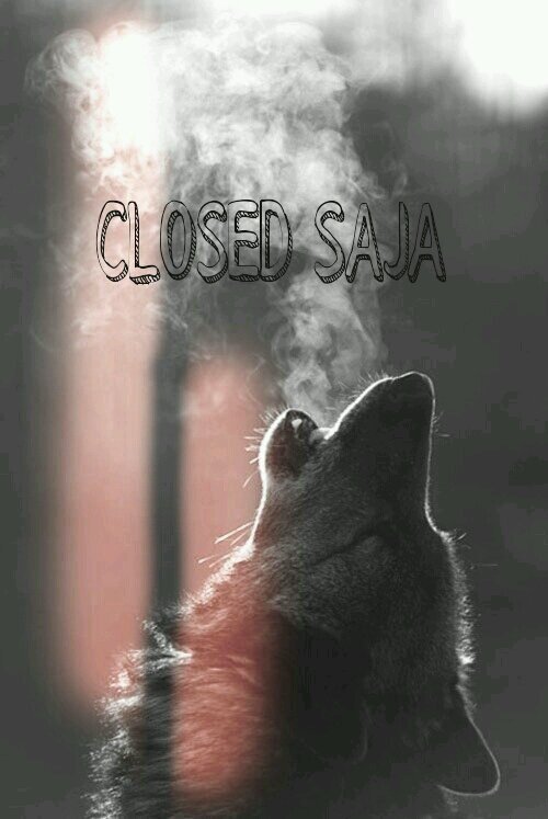 NEW CLOSED AGENCY ALL STAR★ CEK LINK&FAV UNTUK SELEBIHNYA. YUK MARI JOIN^_~ TIDAK ADA BOOK DIANTARA KITA