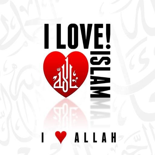 Islam yang teduh dan menyejukkan. berdasarkan al-Qur'an dan as-Sunnah dengan pemahaman para salafush shalih
Diskusi mengenai kehidupan
FOLLOW FOLBACK