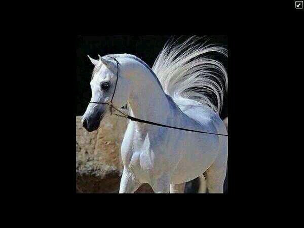 ‏‏‏اللهم صل وسلم على سيدنا محمد... أستغفرك واتوب اليك يارب