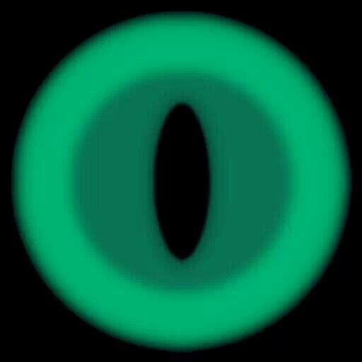 DennisRaditya88's profile picture. warm & quiet