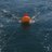kync08's profile image