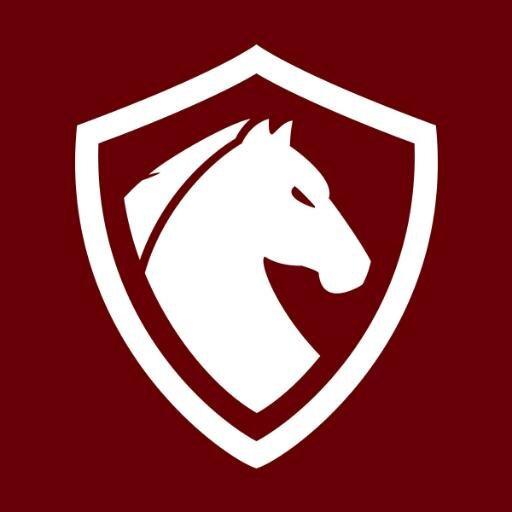 KnightGaming_'s profile picture. Such MMO's. Wow. Much Achievement. #GuildWars2 / #TESO / #LeagueofLegends