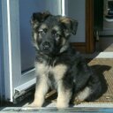 Noah Ernest - @NoahNoahernest - Twitter