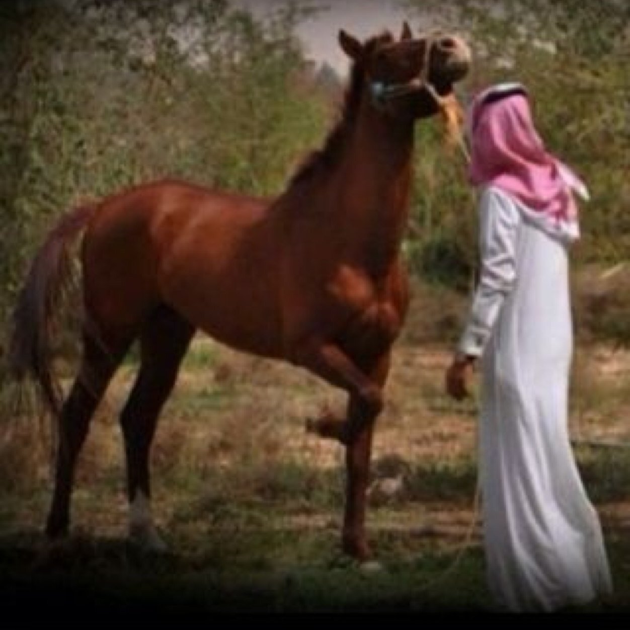 اللهم انك عفو تحب العفوو فاعف عني