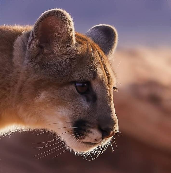 ضد الانقلاب و ضد كتم الحريات و ضد الخضوع و الاستسلام