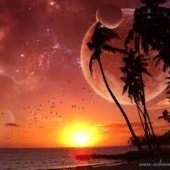 selmankerim23's profile picture. Dün BOUN Bugün UZH                                 &In God we trust, others must bring data&