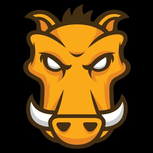christian_knoop Profile Picture