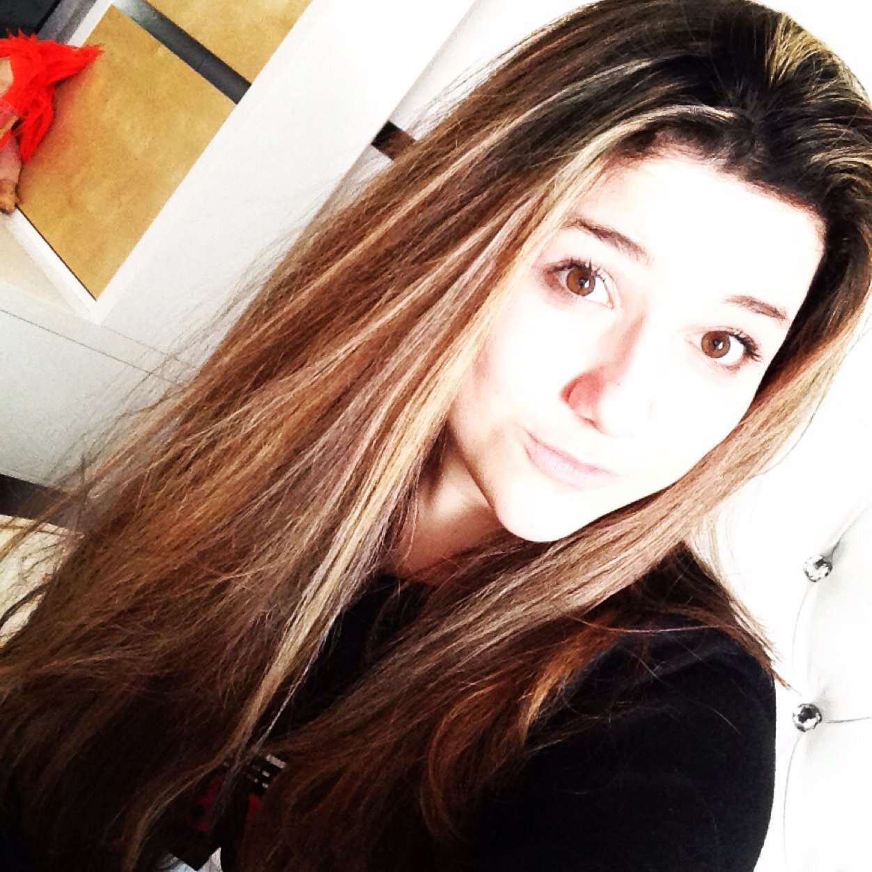 New twitter forgot my password for old account, follow for follow