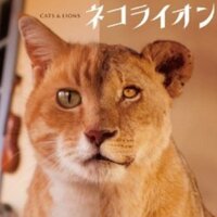 maririn🐾 (@maririn_0321) Twitter profile photo