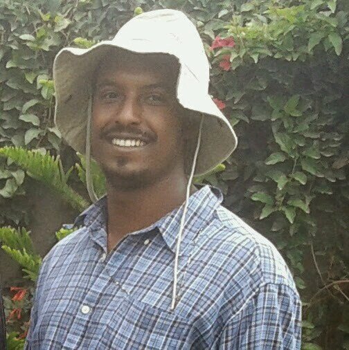 Plant pathology (Virus and Fungi), Molecular biology, Biotechnology, RNAi, Artificial infection clone of plant viruses, Genetic engineering