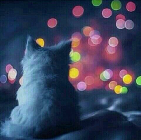 ‏⇨⇦⇨⇦تابعني اتابعگ⇨⇦⇨⇦