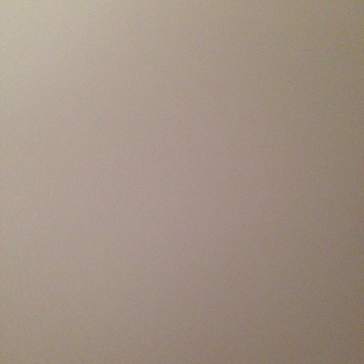 Bella__Jensen's profile picture. 