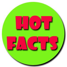 Hotfacts_'s profile picture. Интересные факты
