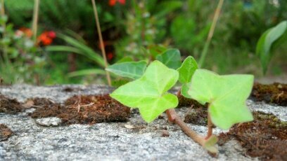 TurismoChileSur's profile picture. Datos, avisos, experiencias, recomendaciones y recuerdos en fotos. Turismo en el sur de Chile
