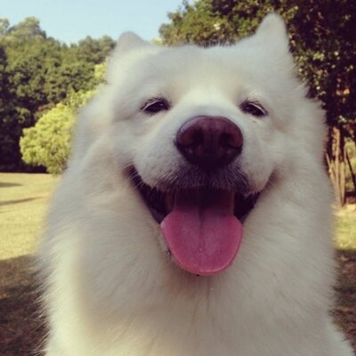 princealiaaron's profile image