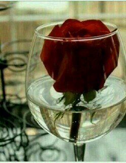 ‏أمي أنتي مائي إذا عطشت وأنتي نظري إذا كففت وأنتي قلبي إذا توقفت عن النفس . ‏