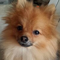 冬聖 (@bball7582503) 's Twitter Profile