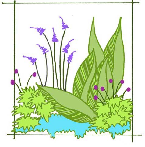 Garden Design by Tiz offers residential & commercial landscape design services! I love plants!