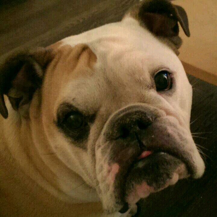 damion436's profile picture. 