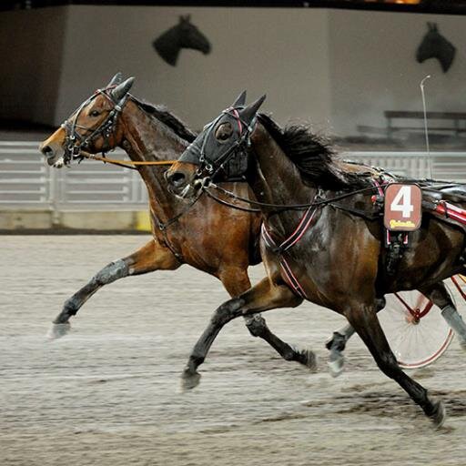 Klockrent trav - helt privat