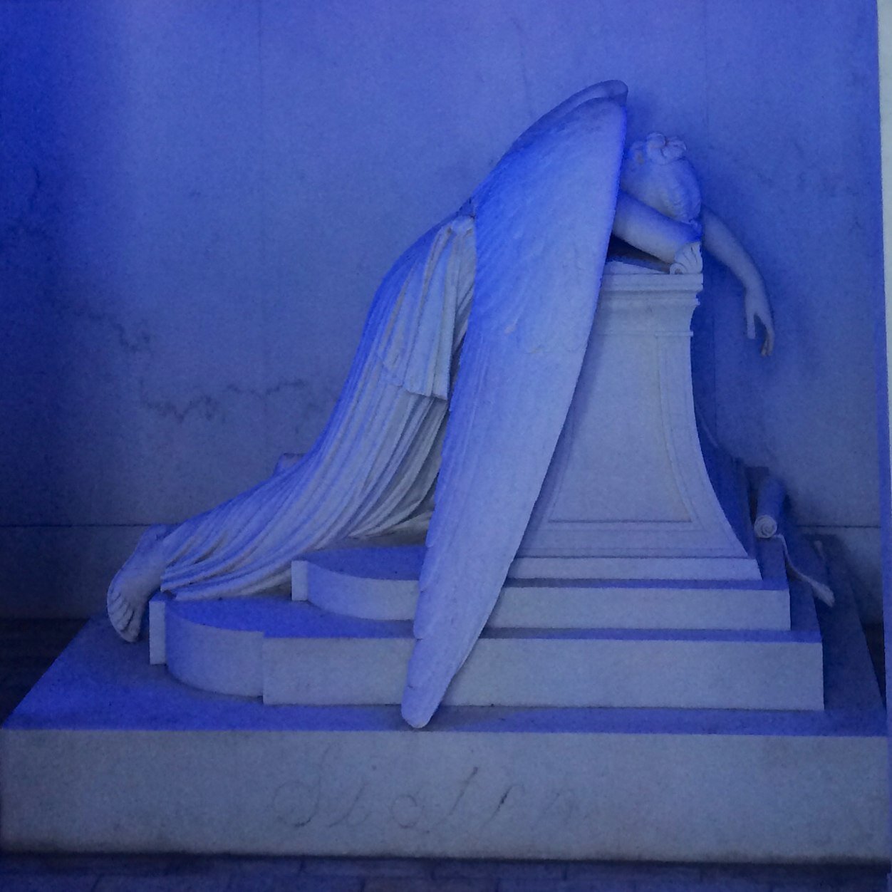 sunnphish's profile picture. 