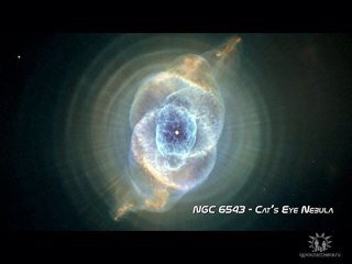 RTaranenko's profile picture. 