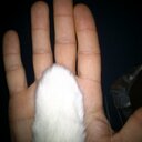 robert jakša - @jaksarobert - Twitter