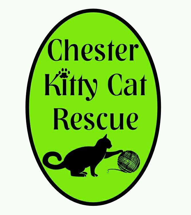 Chester Kitty Cat Rescue.
Registered Charity Number 1161073. Promoting humane behaviour towards cats in and around the Chester (UK) area.