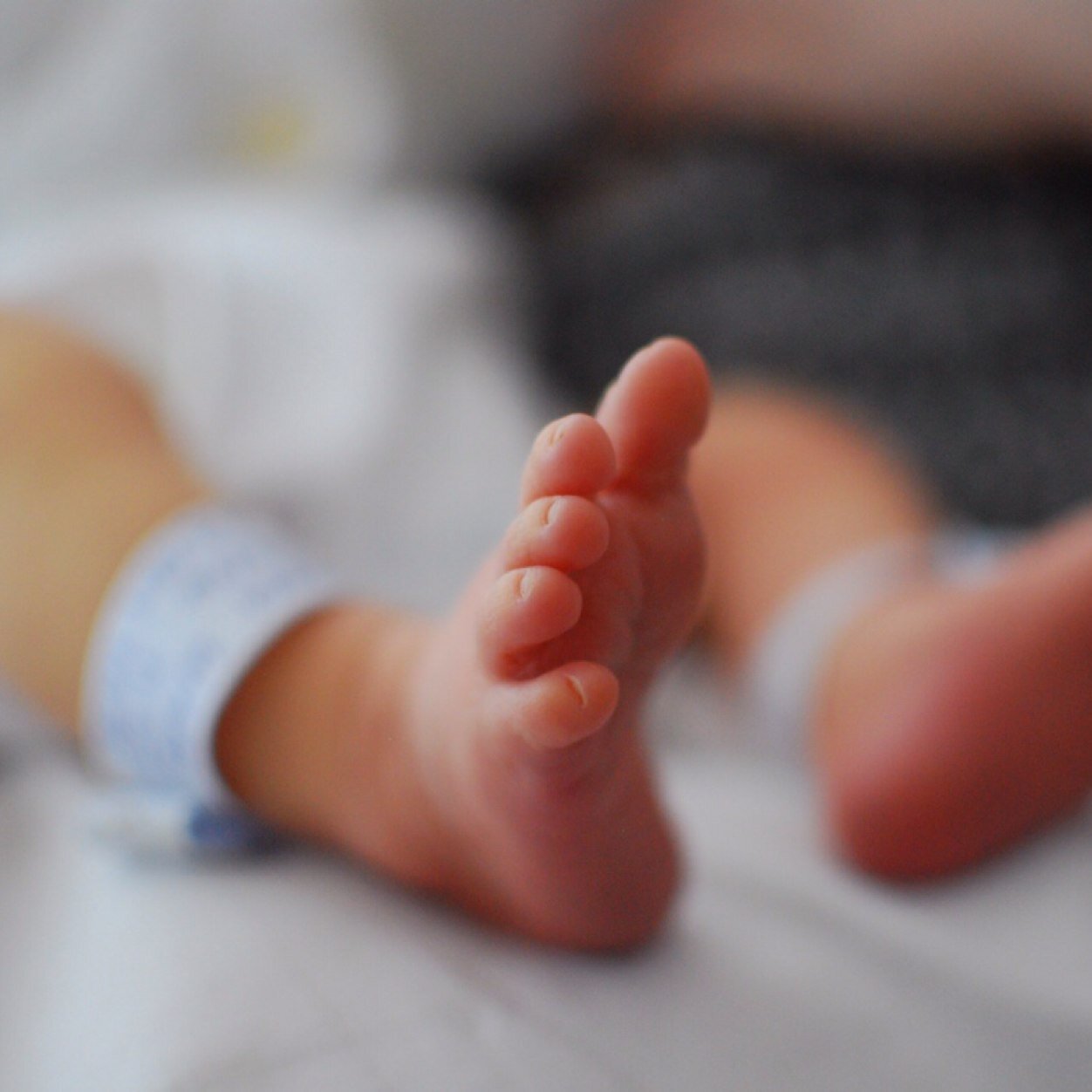 Henry_A_Ward's profile picture. 