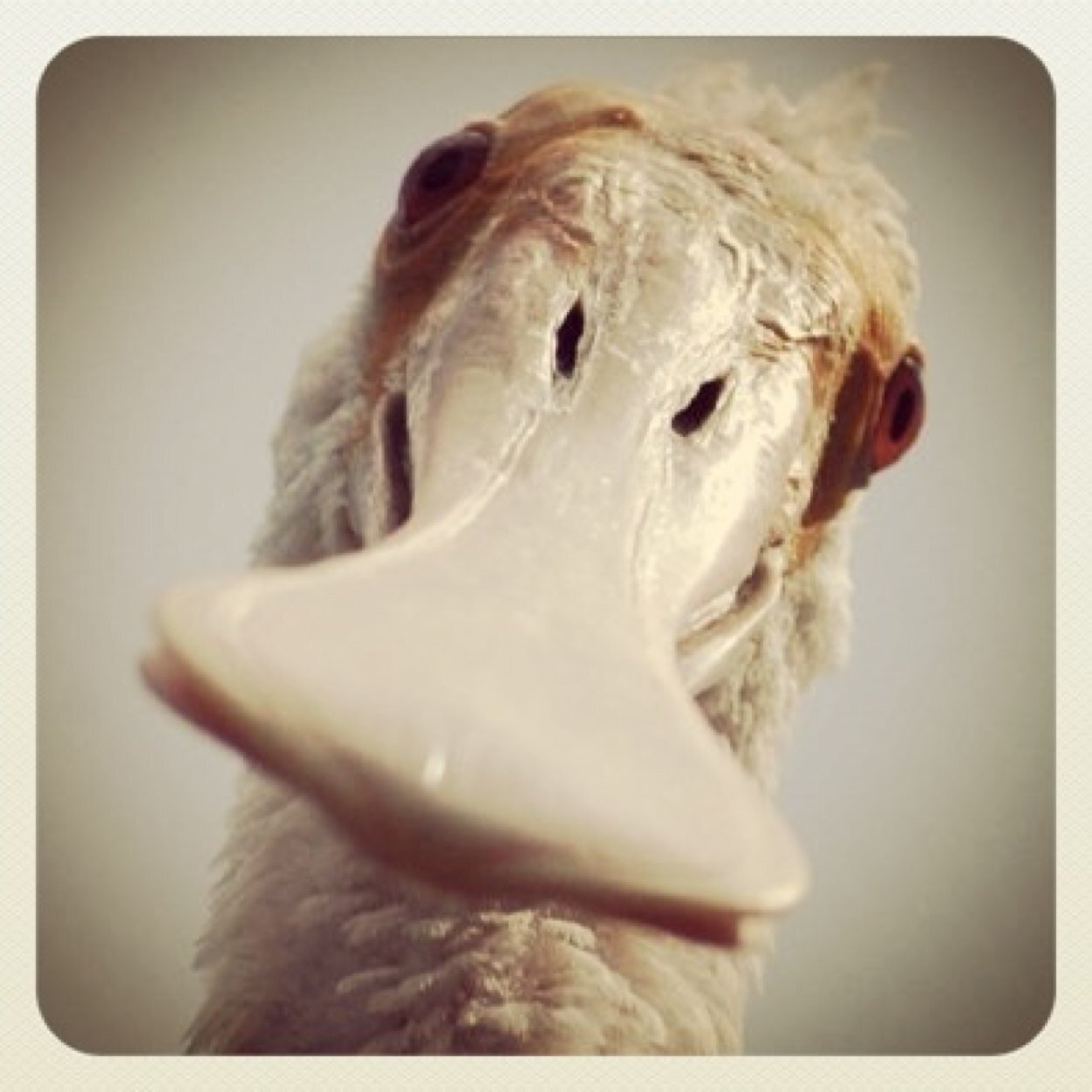 lancesabbe's profile picture. Photographer, chef, husband, account executive, brewer, traffic manager, brother, son, and overall fun guy.