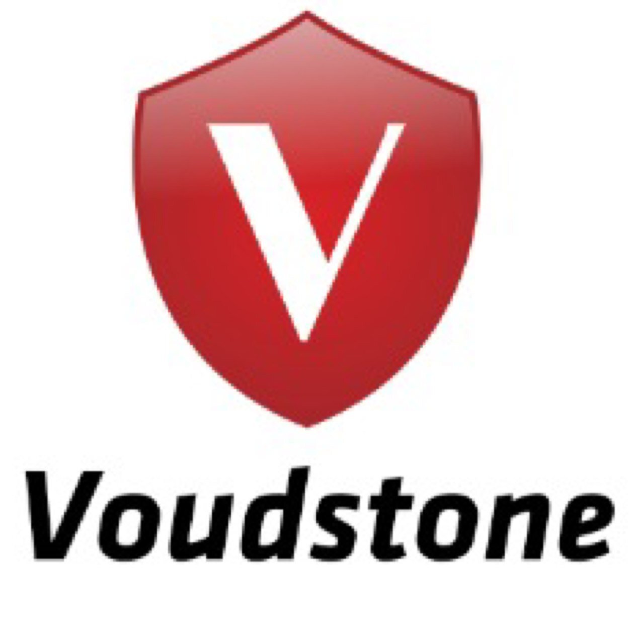 voudstone's profile picture. Distributor and Solution Partner of Hikvision.